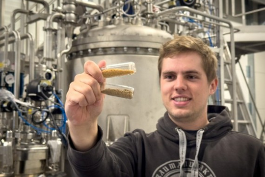 Proteine aus Biertreber