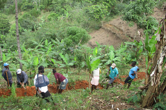 Haitis Kampf gegen Bodenerosion und Armut