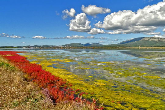 Endlich eine Schutzgebietsverwaltung für die Saline Ulcinj