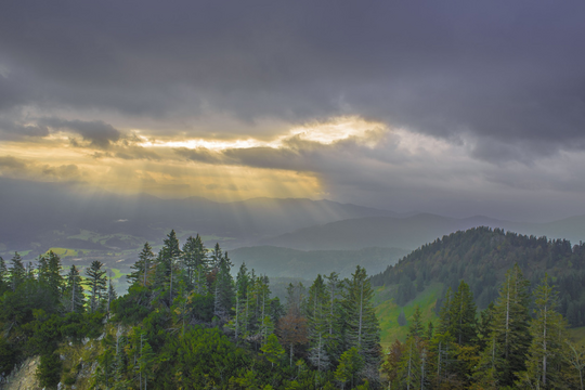 Klimaschutz: Strategien kombinieren, Emissionen senken