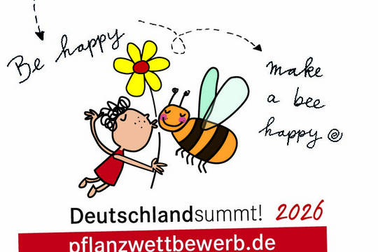 Deutschland summt!-Pflanzwettbewerb startet heute