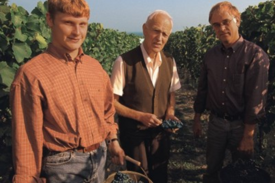 70 Jahre ökologischer Landbau und 40 Jahre Naturland-Winzer