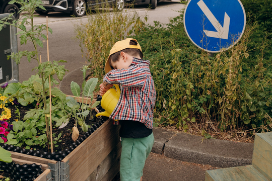 Klimaforschung in München für Biodiversität und gesündere Stadtplanung