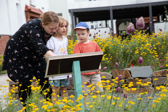 Biodiversität beginnt vor der Haustür