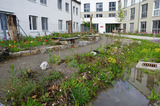 Klimarisiken erkennen und handeln