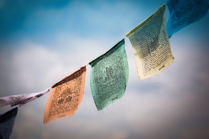Die Überlebensfrage der Menschheit