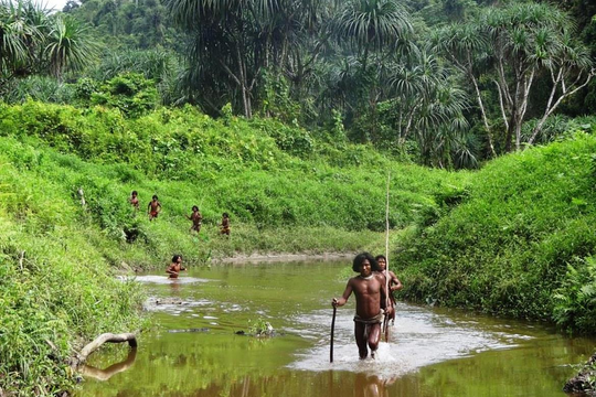 UN fordert Indien auf, umstrittenes Groß Nikobar-Projekt auszusetzen
