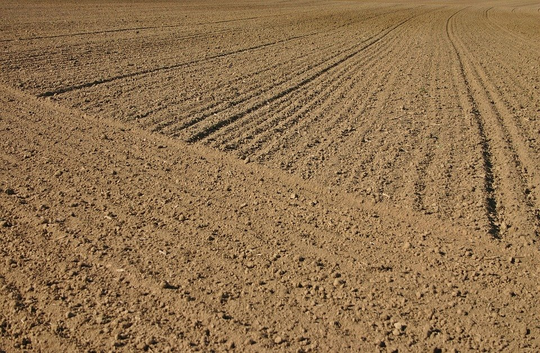 EU-Agrarpolitik: Greening brachte kaum Verbesserung für Umwelt