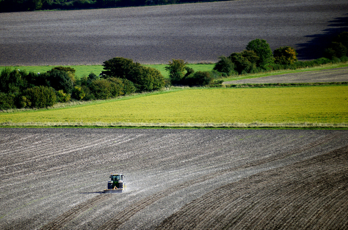Agroforst als Schlüssel für Wasserhaushalt, Klimaanpassung und die Zukunft der Landwirtschaft