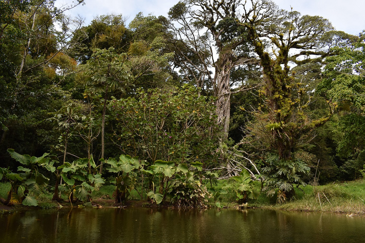 Ein unverzichtbares Modell zum Schutz der Weltböden: das Soil Security Framework