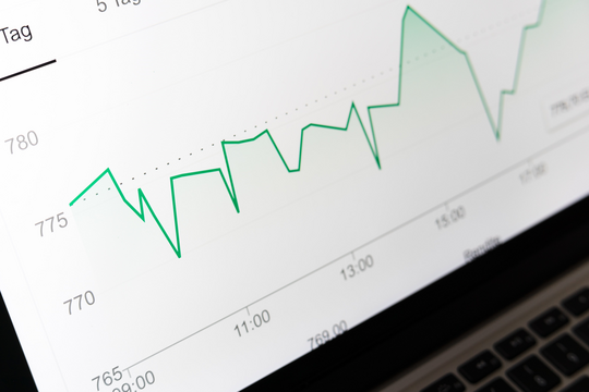 Profit und Purpose als Erfolgsfaktoren
