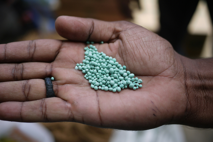 Der Düngemittel-Schock zeigt: Es ist höchste Zeit für eine klimaresiliente und nachhaltige Landwirtschaft