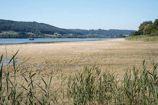 Niedrigwasser: Rhein und Neckar brauchen mehr Natur statt mehr Tiefe