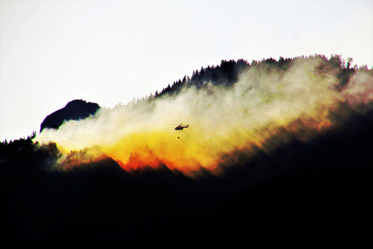 Waldbrandgefahr steigt rasant