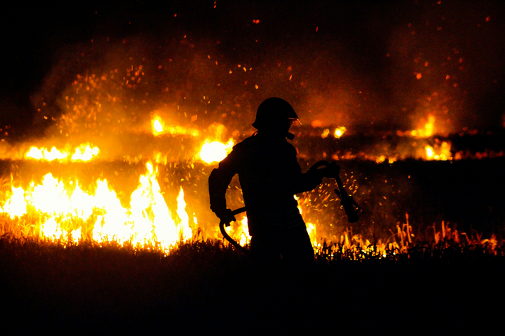 I want you to act as if our house is on fire. Because it is.